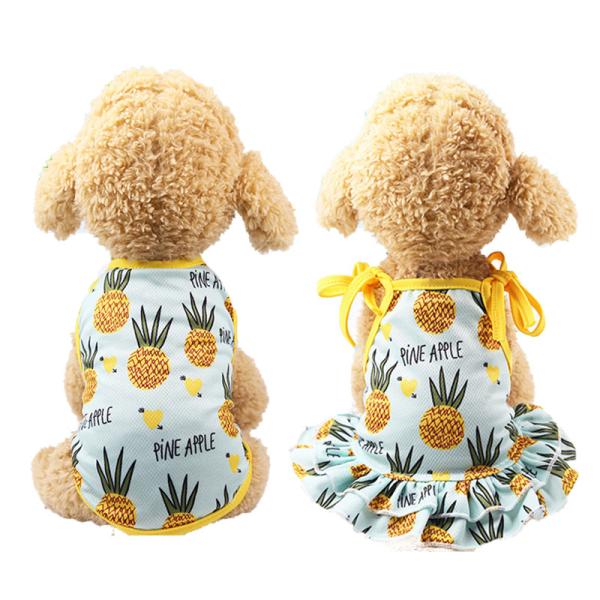  t 킢lChX ^Ngbv pCibv ^^p ȃs[X hbNEFA