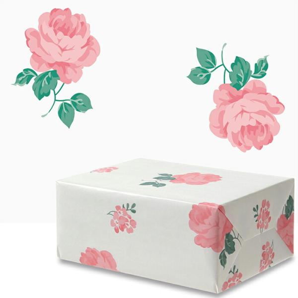 24܂ |Cg5{ƃN[|  Vv[Y  lZ 100   bsO 킢 n 唻  c 