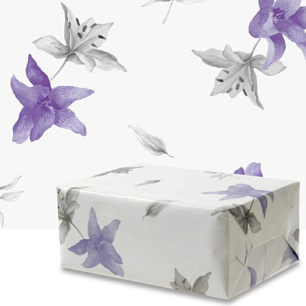 14 |Cg5{ƃN[|  _u[  lZ 100   bsO 킢 n 唻  c 