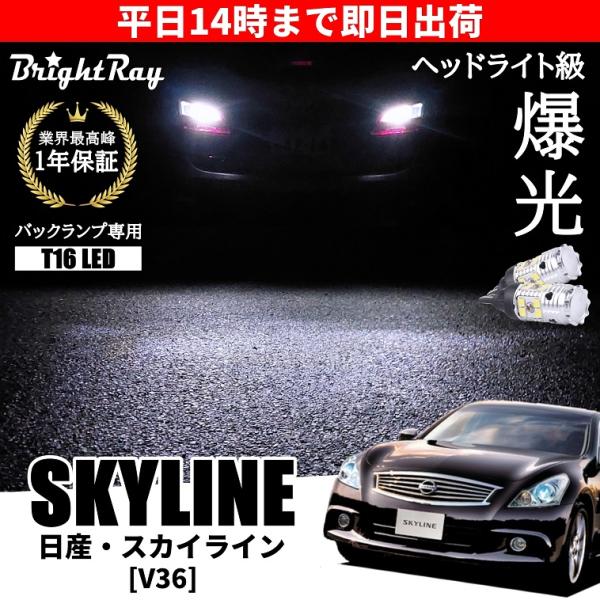 hycompany_brightray-back-skyline