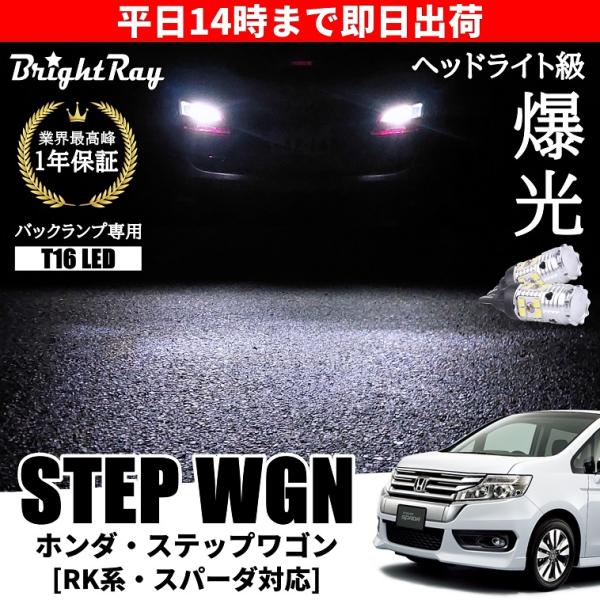 hycompany_brightray-back-stepwgn