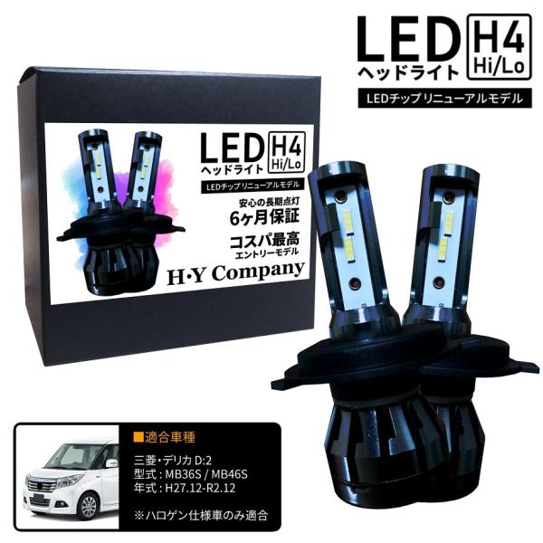 hycompany_hy-h4-delicad2-36
