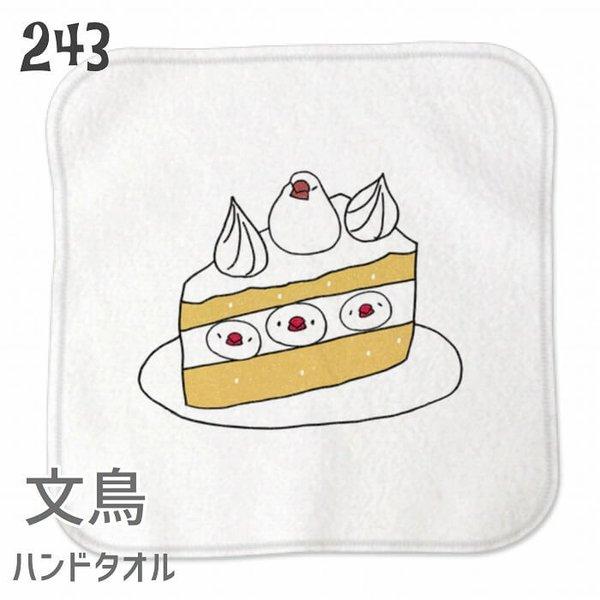 文鳥 ハンドタオル タオルハンカチ ブンチョショートケーキ : Hydaway