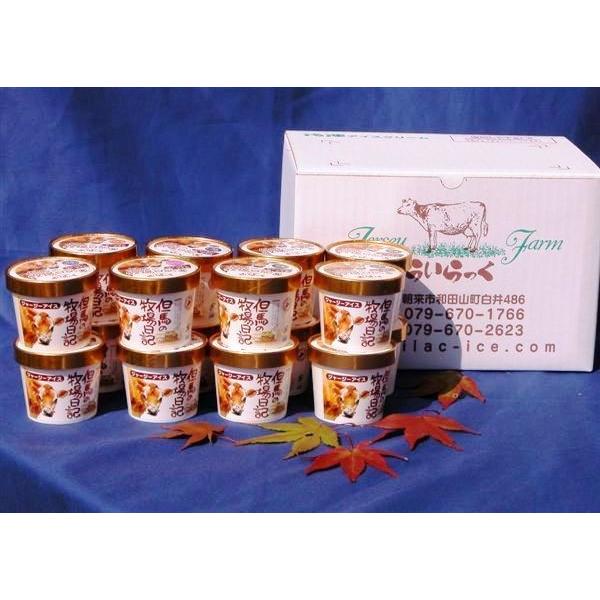 uH[炢vW[W[qꂩ̑蕨 WF[glߍ킹16ZbgiⓀj