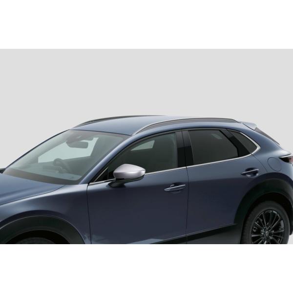 hyogoparts_d41sv3830