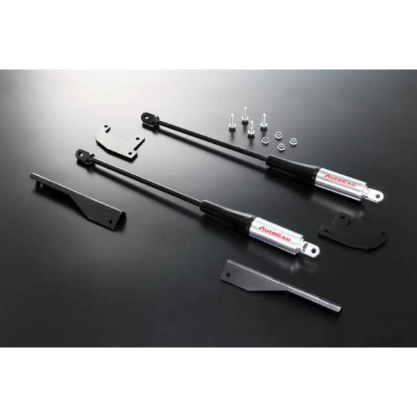 I[gGO[(AUTOEXE) [VRg[r[ NC[hX^[ NCEC RX-8 (SE3P-300001`) MSE4900