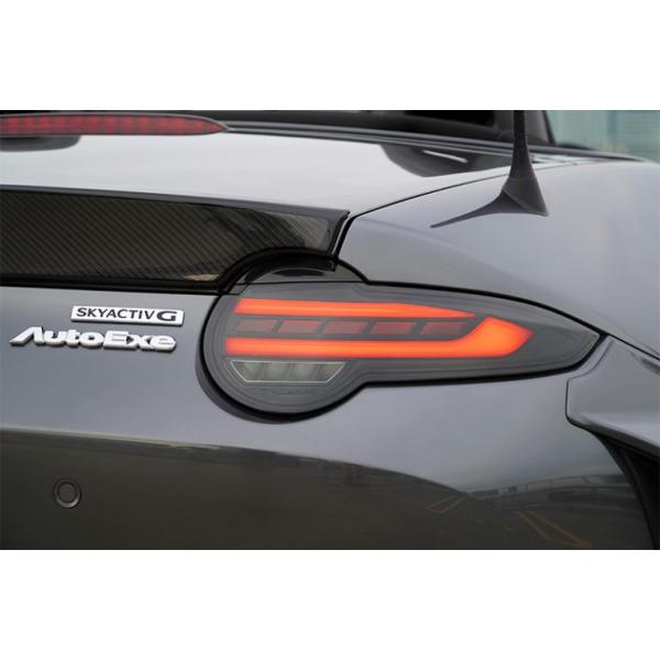オートエクゼ オートエグゼ(AUTOEXE) LEDリアコンビネーションライト