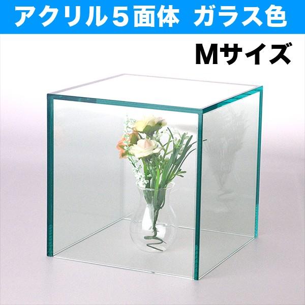 アクリル5面ボックス ガラス色 Mサイズ(W200×D200×H200)○（小物