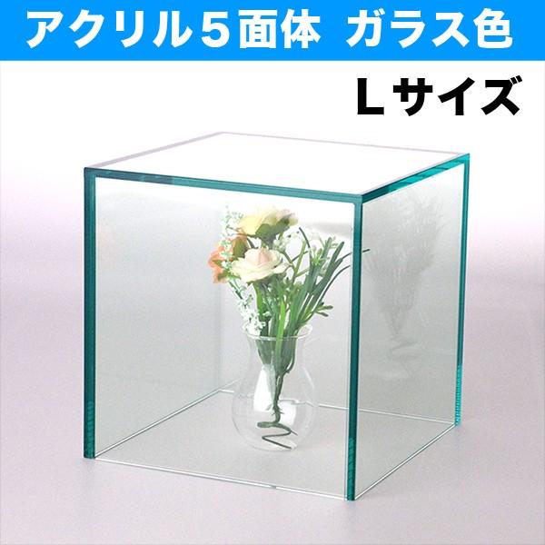アクリル製5段ガラスケース 楽天市場】コレクションケース 5段の通販