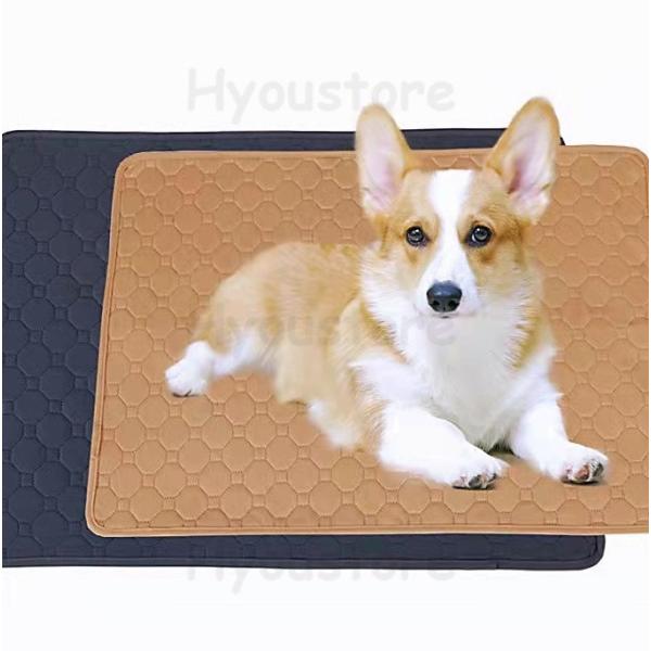 [Release date: October 10, 2021]家の片隅におしっこを敷く、犬を誘導おしっこをさせ、一週間、二週間後には、自分のおしっこの味をかぐして、マットのところおしっこ習慣になります。トイレ何回も洗って繰り返し使えるので...