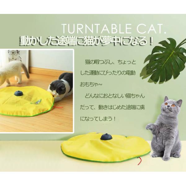 猫 おもちゃ 電動 猫じゃらし 猫用電動おもちゃ ペット 電動 おもちゃ 猫用おもちゃ 猫用品 猫 ねこ ネコ ペット用品 オモチャ 回転式 ストレス 運動不足解消 Buyee Buyee Japanese Proxy Service Buy From Japan Bot Online
