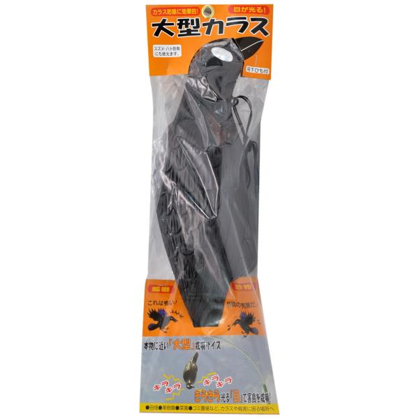 コンパル 大型カラス