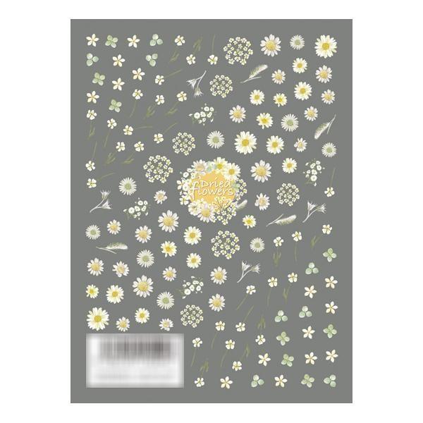 Tsumekira ツメキラ ネイルシール Dried Flowers White Color Nn Dfc 103 ネイルステッカー 簡単 かわいい Www Nlqp Com