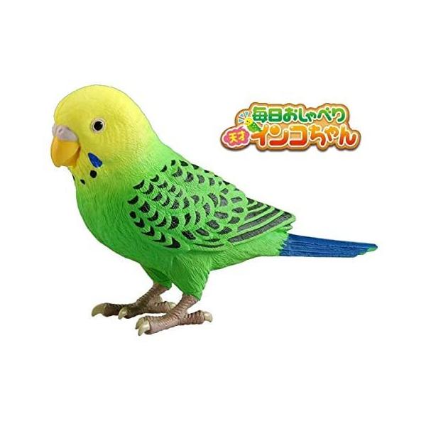 タカラトミー 毎日おしゃべり天才インコちゃん