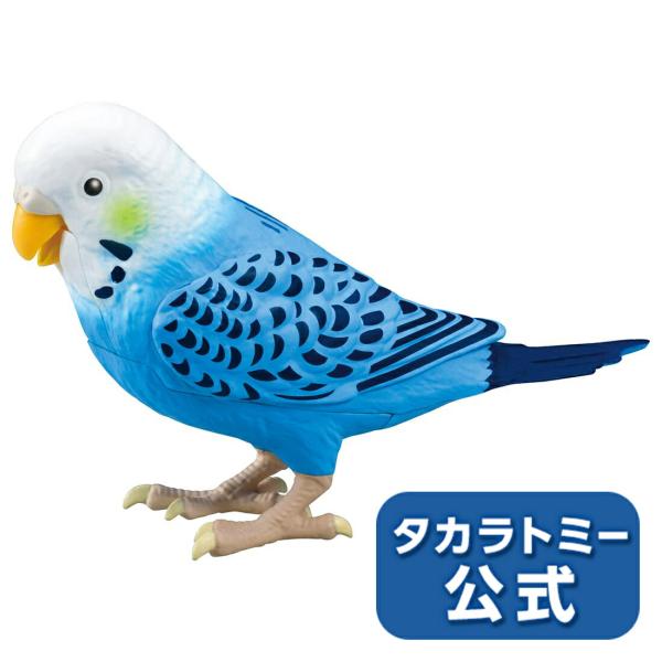 タカラトミー 毎日おしゃべり天才インコちゃん　限定色　青色