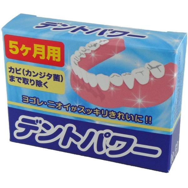 【メール便発送】義歯クリーナーデントパワー5ヶ月20パック×2