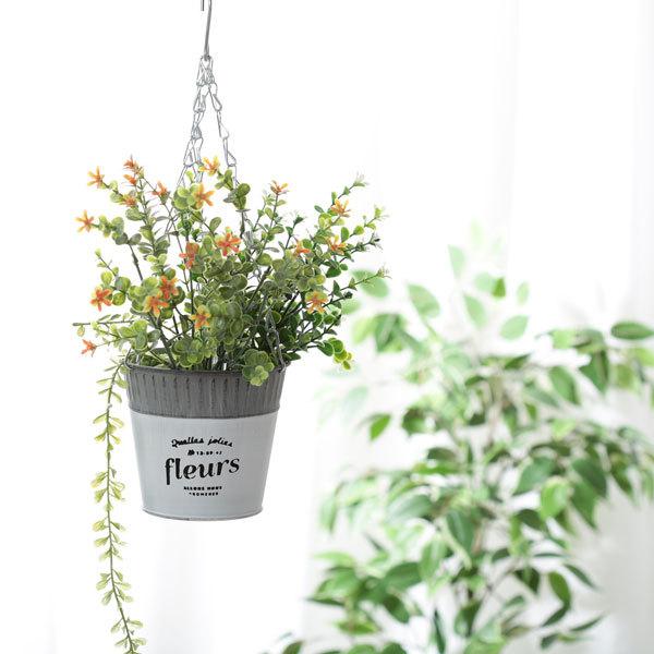 nMOvg nMOv^[ K[f|bgt v^[Jo[ v^[|bg Jo[ GNXeA K[f K[fjO