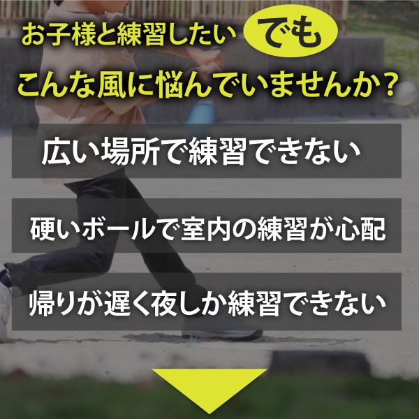 hysweb_c231261t_1_d_20240423182206