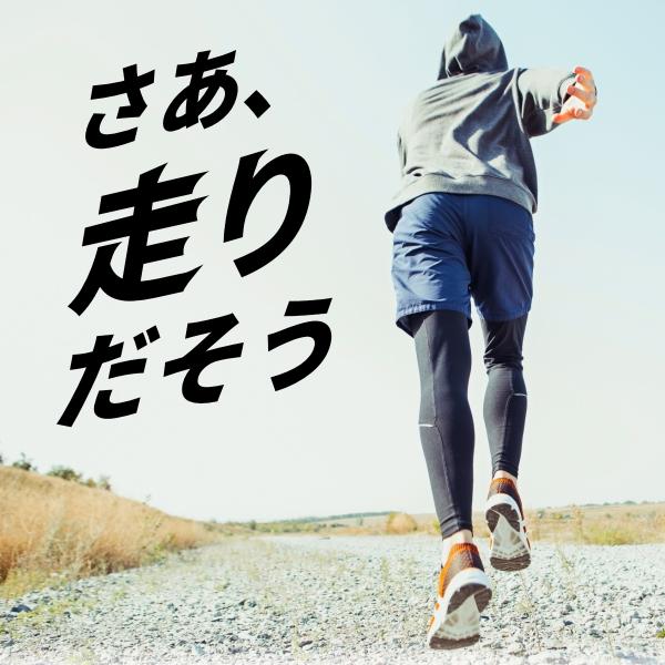 hysweb_c240465_2_d_20250404173210