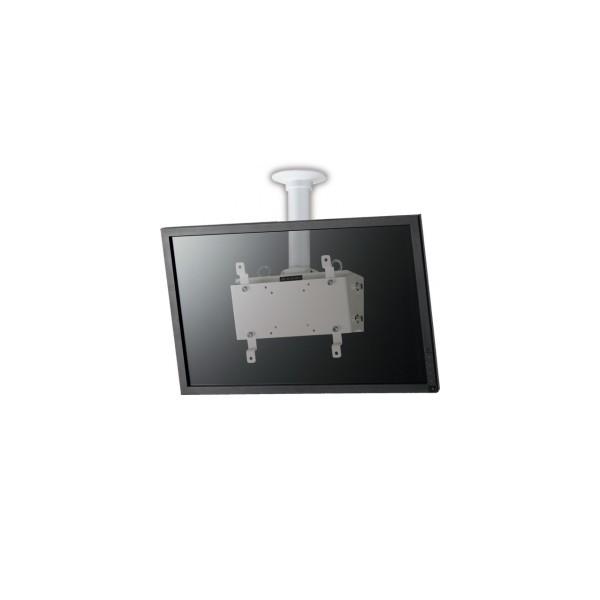 () FH-101 I[ AURORA V݂nK[ FH-101(zCg)  (pCvFS`EZbg)