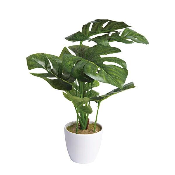 Sc触媒加工 ミニ観葉 モンステラ フェイクグリーン Hsp Mo Tri0035ka5 60 枯れないお花 造花 防汚 防臭加工 I Chie 通販 Paypayモール