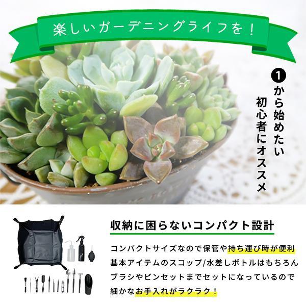 i-flare_if-garden-tool16_2_d_20251008174502