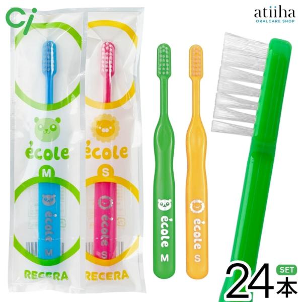 低価格でお子様のプレゼント用に最適です！デュポンナイロン毛を使用。 カラー　　：4色アソート：レッド・グリーン・ブルー・イエロー ※色はお選びいただけません。サイズ　　：全長約146mm　ヘッド：9×21mm毛のかたさ：M ふつう、S　やわ...