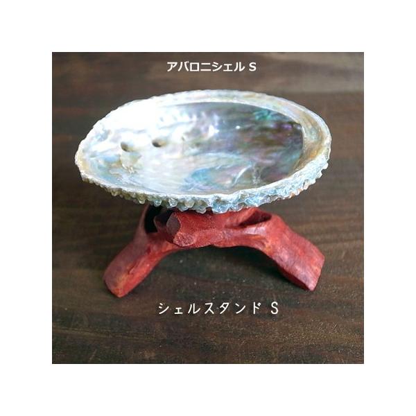 アバロニシェル＆シェルスタンド スモールサイズセット