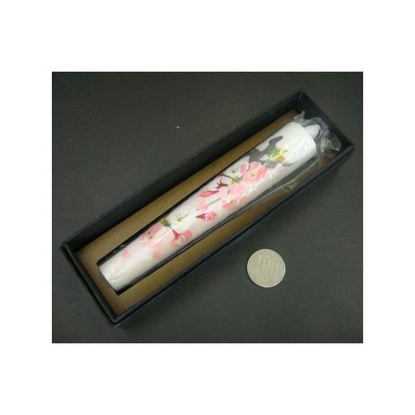 �Ԃ낤����10�� A�^�C�v 15cm2�{(������A�~) ���r�낤�����X