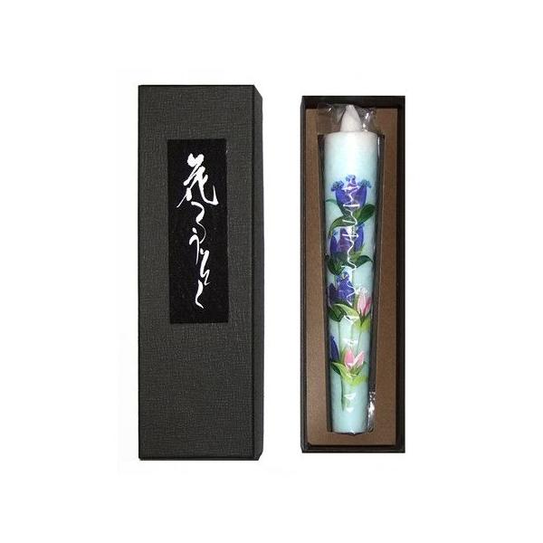 �Ԃ낤����10�� D�^�C�v 15cm2�{(�e�A���ǂ�) ���r�낤�����X