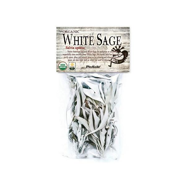 Phyllaile zCgZ[W NX^[15g USDAI[KjbNF