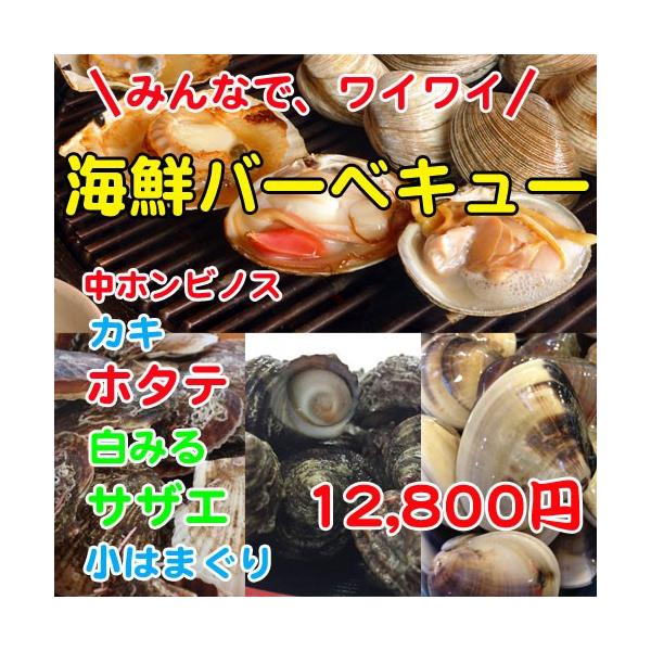 qミル貝の価格と最安値 おすすめ通販を激安で 魚介類 海産物関連