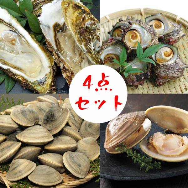 ホンビノス貝の価格と最安値 おすすめ通販を激安で