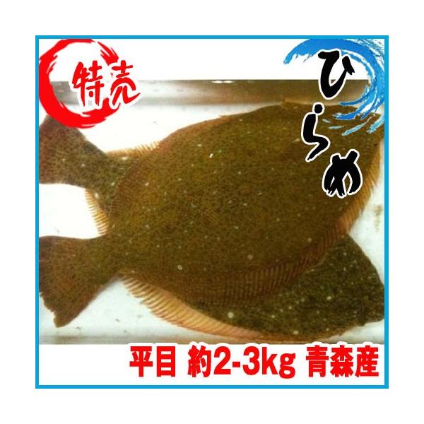 業務用 沖ひらめ約2 3kg 青森産ヒラメ平目沖ヒラメ Buyee Buyee 提供一站式最全面最专业现地yahoo Japan拍卖代bid代拍代购服务