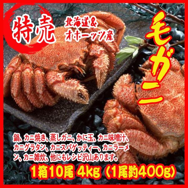 カニ 箱の人気商品 通販 価格比較 価格 Com