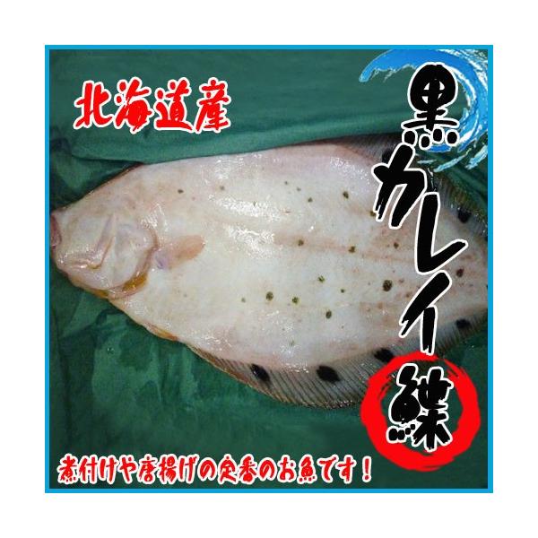 業務用 北海道産 黒カレイ 約5kg以上 7 12尾前後入 かれい 鰈 Buyee Buyee 日本の通販商品 オークションの代理入札 代理購入
