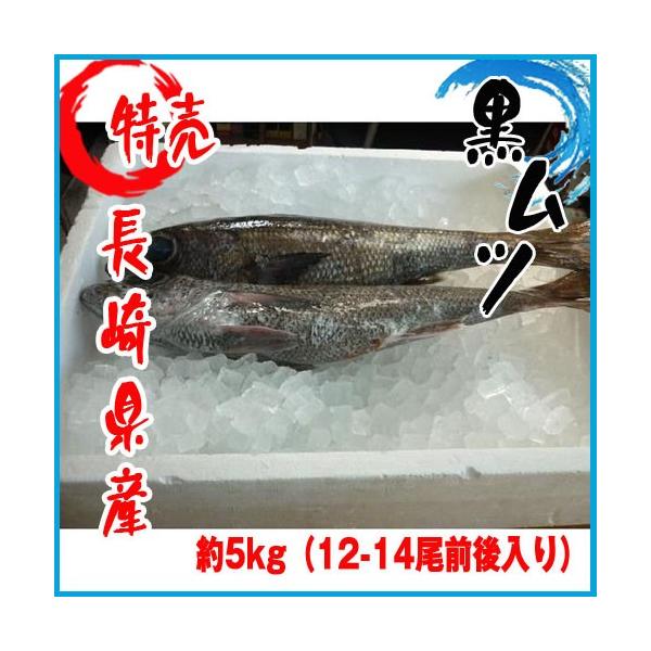 業務用 長崎県産 黒ムツ 約5kg 12 14尾前後入り クロムツ 黒むつ Kuromutu 市場81 通販 Yahoo ショッピング