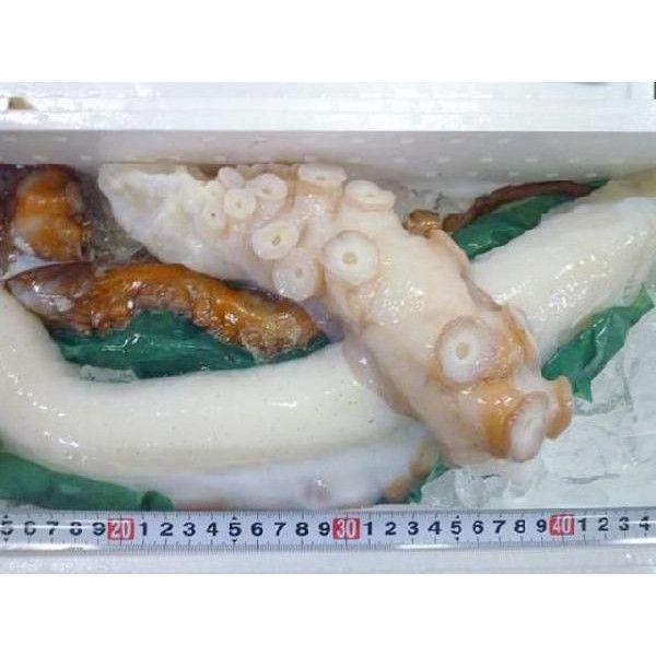 4 5人前 生タコ 北海生たこ 刺身用 約1kg タコ たこ 蛸 鮹 Buyee Buyee 日本の通販商品 オークションの代理入札 代理購入