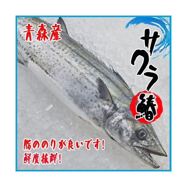 さわら 魚の人気商品 通販 価格比較 価格 Com