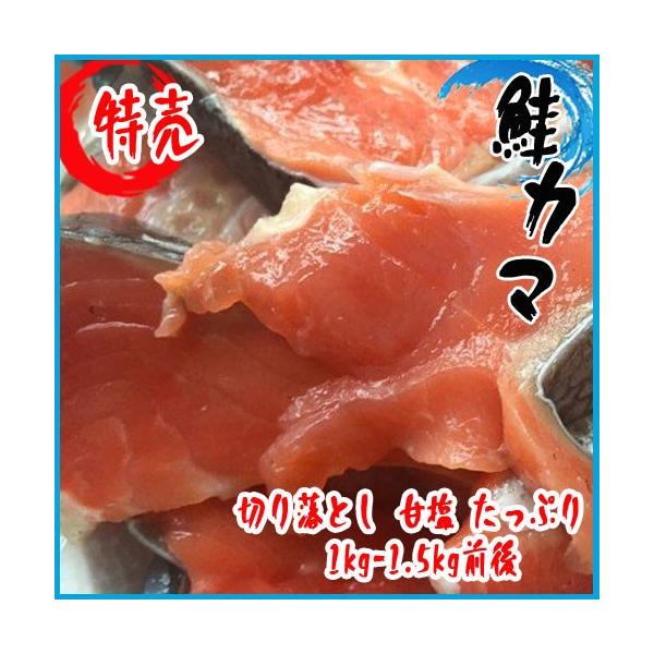 (訳あり) 鮭 カマ・切身 切り落とし 甘塩 たっぷり1kg-1.5kg前後 (紅鮭・銀鮭)★築地