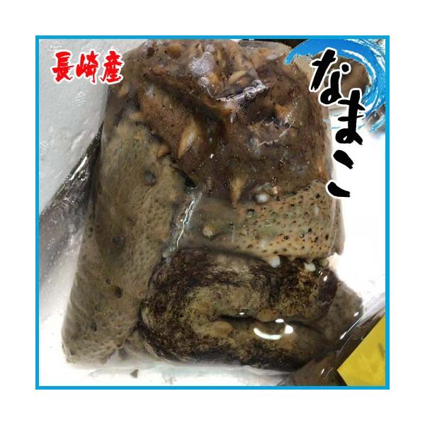 なまこ 生 魚の人気商品 通販 価格比較 価格 Com