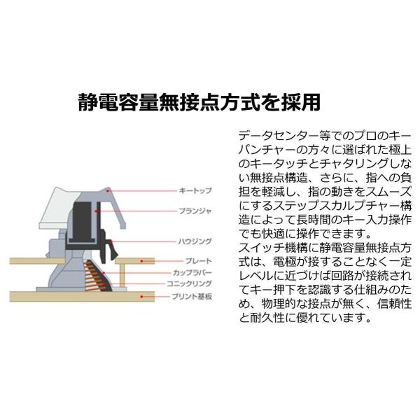 東プレ Realforce Pfu R2 テンキーレス Pfu Limited テンキーレス Edition 英語配列 アイボリー Realforce Pz R2tlsa Us4 Iv S 07 I Labo