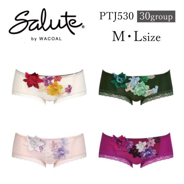 salute　サルート　30G 30グループ　F70 　セット　PI 楽天市場】30%OFF ワコール Wacoal サルート salute 30グループ