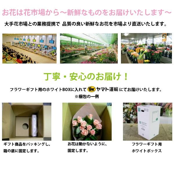 プレゼント 上司 ギフト券 コード販売 男性 贈り物 還暦祝い B Ce 贈り物 お花 Se レッド花束 カタログギフト 女性 お祝い