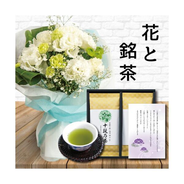    Mtg  X^fBO u[P ōʏ\iďC  5000~ (HM)[a]  ͂ @     1 O 3  l\ @v