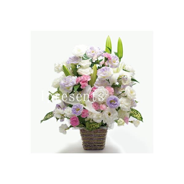    Mtg J[ L AWg JSt bZ[WJ[h 10000~ ͂ @     1 O 3  l\ @v (HM)[a]