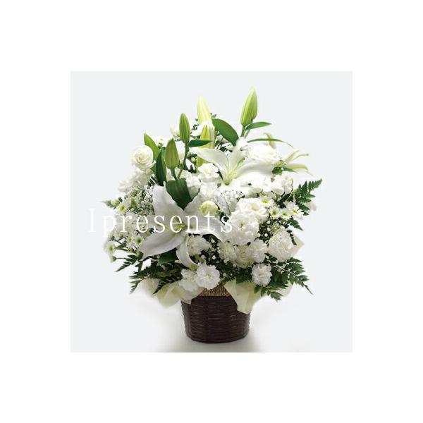 ފ   Mtg  L AWg JSt 10000~ ͂ @     1 O 3  l\ @v  r(HM)[a]