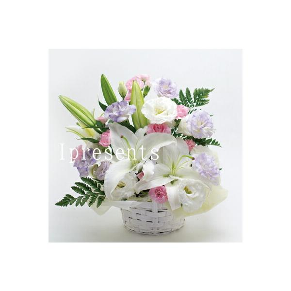    Mtg J[ AWg JSt 5000~ (HM)[a]  ͂ @     1 O 3  l\ @v  r