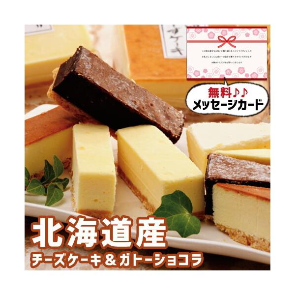 j Ԃ َq 4000~ Mtg  2025 oY  j oYj ʐ^ J[h kC \ `[YP[L Kg[VR w ߋ (SK)y