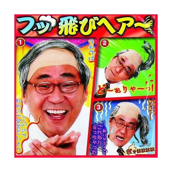 ハゲ隠しの吹っ飛ぶヘアー。ふっ〜と吹けば吹っ飛ぶかつら。芸人でもいましたね♪風に流れるヘアー。お笑いウィッグの決定版！【関連ワード】ハゲ かつら はげ カツラ 吹っ飛び かつら バーコードかつら 中年 コスプレ 被り物 男装 サラリーマン ...